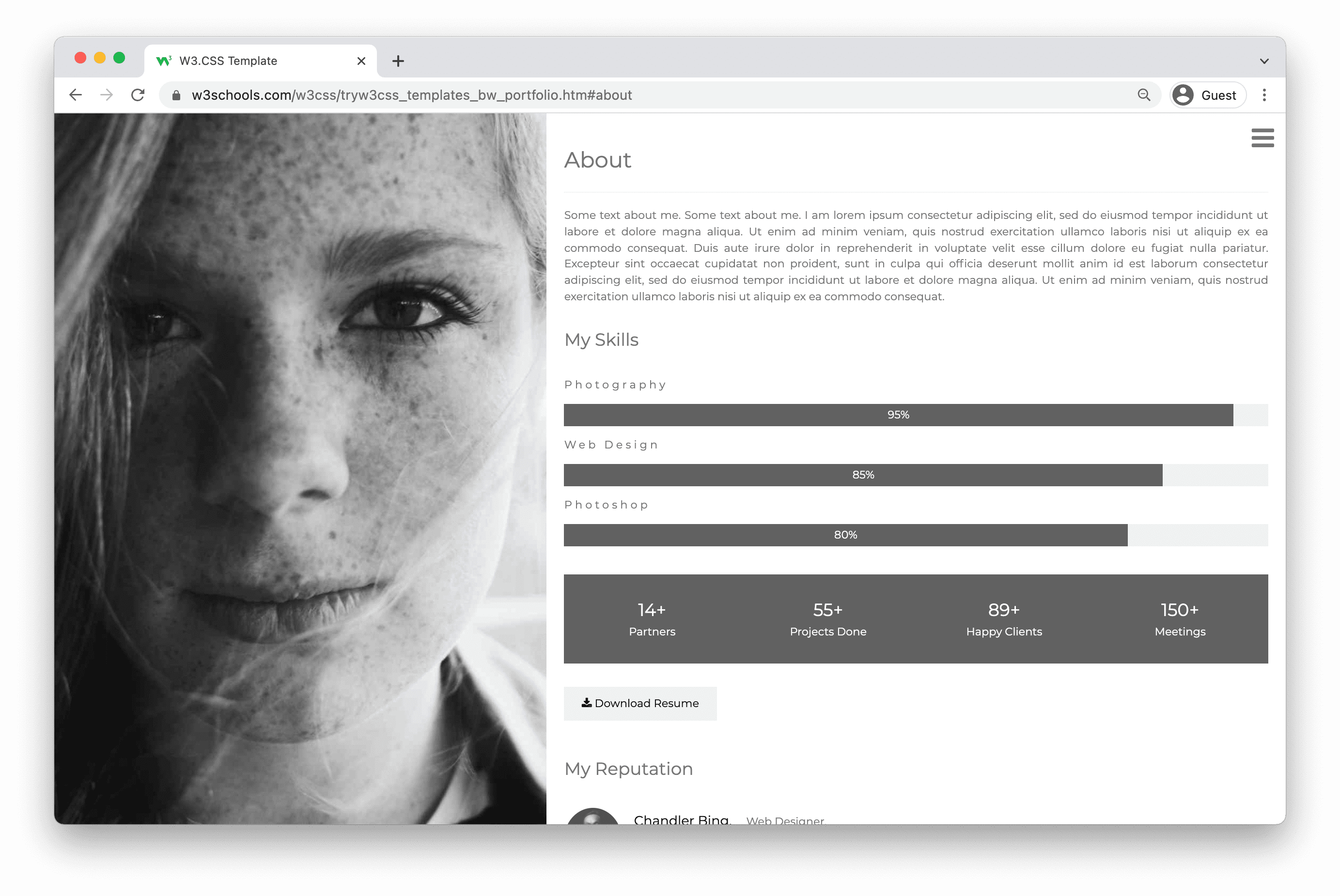 portfolio website design